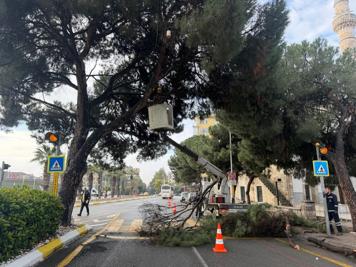 BAŞKAN &Ccedil;ER&Ccedil;İOĞLU&rsquo;NDAN AYDIN&rsquo;IN YEŞİL DOKUSUNU GELECEĞE TAŞIYAN &Ccedil;ALIŞMA