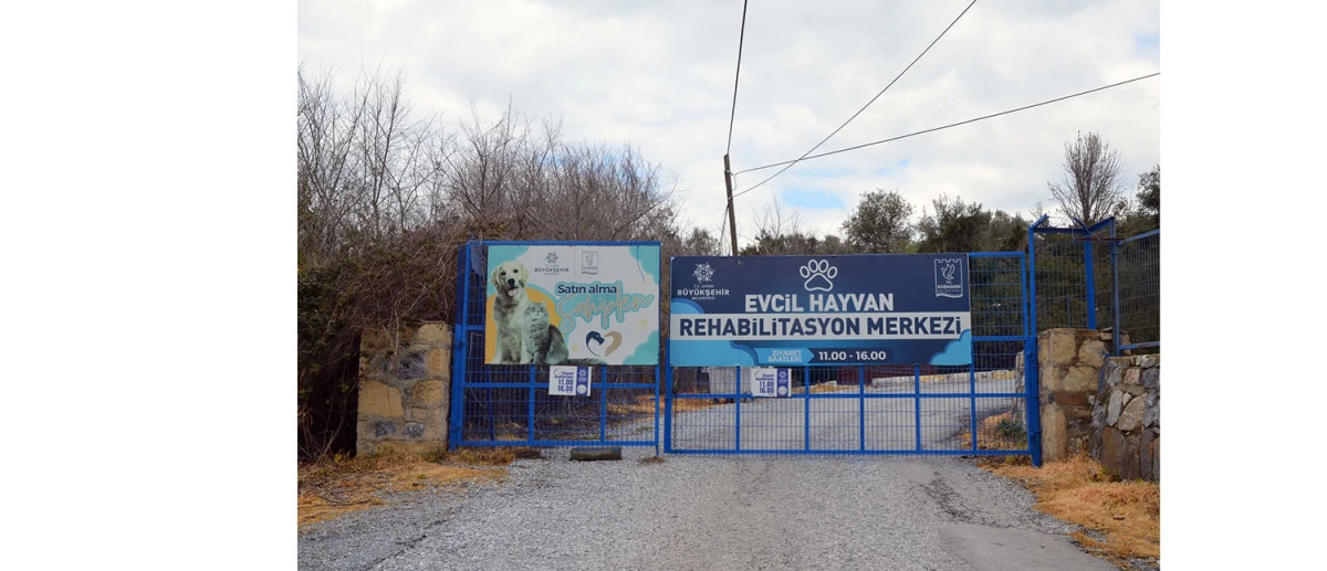BAŞKAN ÖMER GÜNEL’DEN CAN DOSTLAR İÇİN YENİ BİR HİZMET DAHA