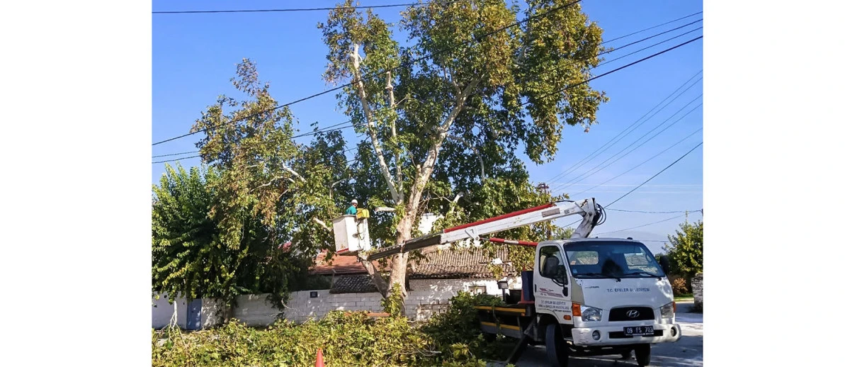 BAŞKAN YETİŞKİN HİZMETTE REKORLAR KIRIYOR ŞEHİR TERTEMİZ PARK VE YEŞİL ALANLAR BAKIMLI