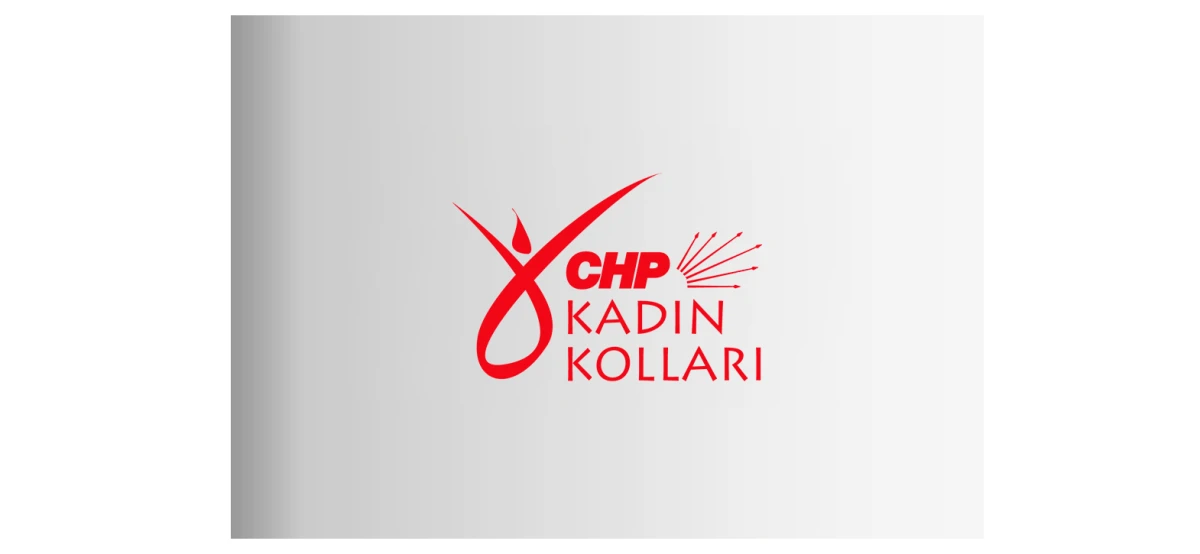 CUMHURİYET HALK PARTİSİ DİDİM İLÇE KADIN KOLLARINDAN  KAMUOYUNA BASIN AÇIKLAMASI