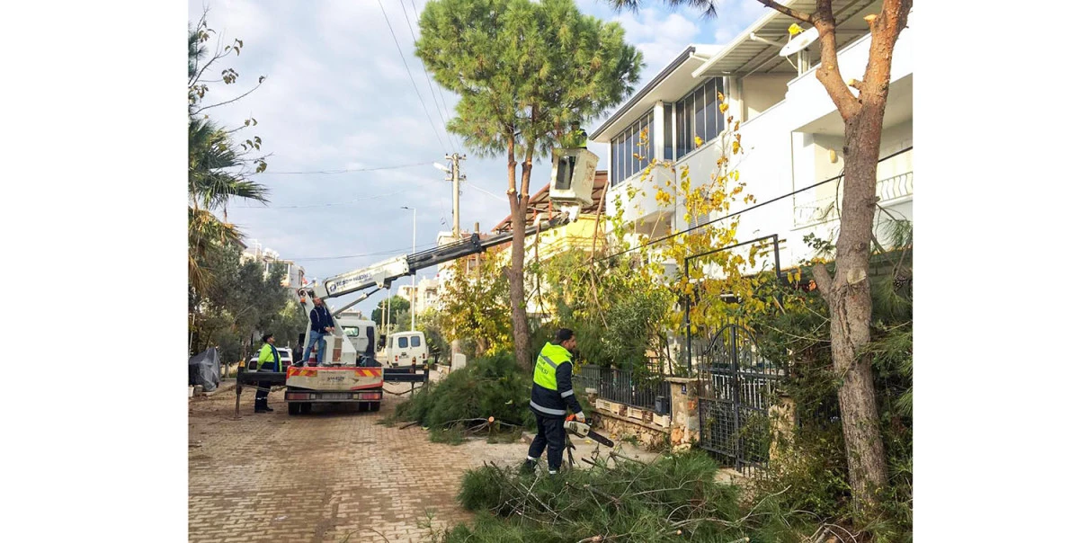 DİDİM BELEDİYESİ EKİPLERİNDEN İL&Ccedil;E GENELİNDE YOĞUN MESAİ