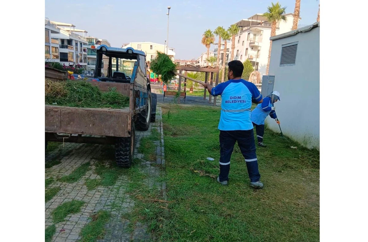 DİDİM BELEDİYESİ KENT GENELİNDE OT Bİ&Ccedil;ME VE BUDAMA &Ccedil;ALIŞMALARINI S&Uuml;RD&Uuml;R&Uuml;YOR