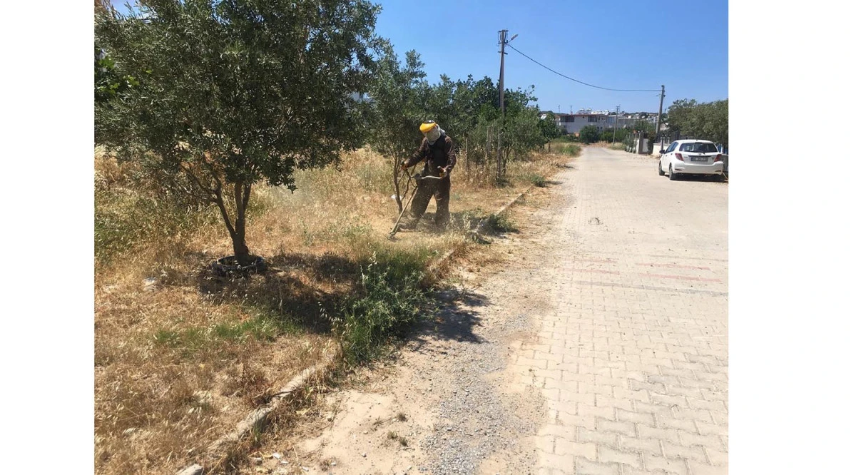 DİDİM BELEDİYESİ YEŞİL ALANLARDA BAKIM &Ccedil;ALIŞMALARINI S&Uuml;RD&Uuml;R&Uuml;YOR