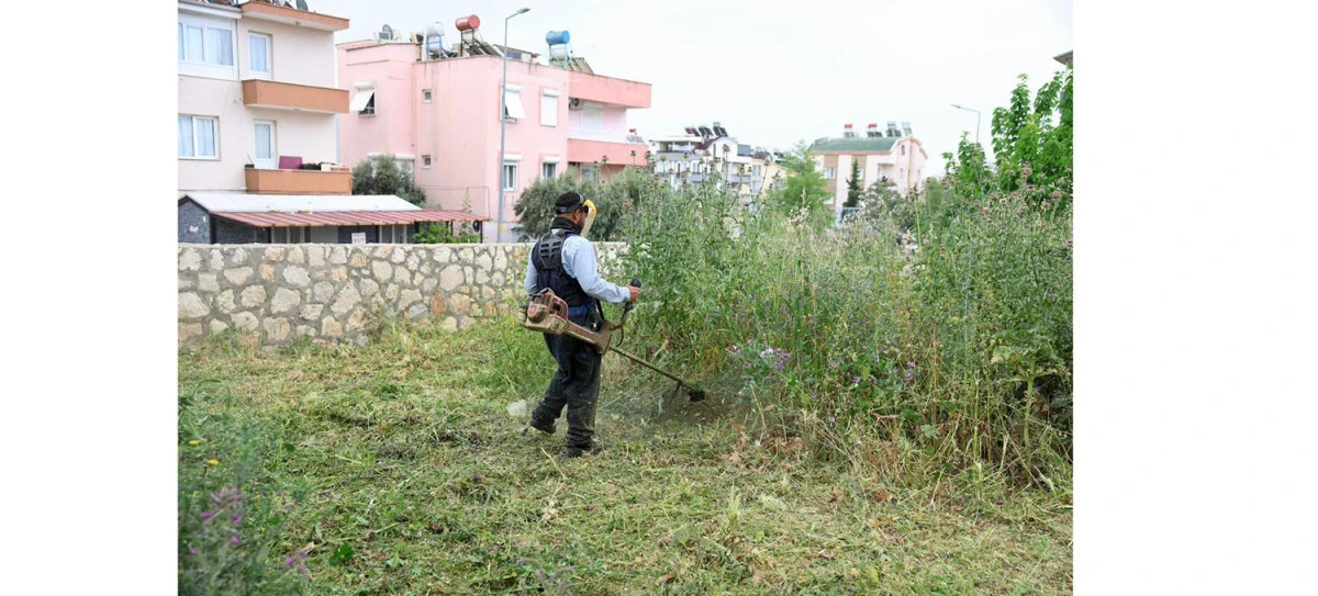 DİDİM BELEDİYESİ&rsquo;NDEN OKULLARDA OT Bİ&Ccedil;ME VE &Ccedil;EVRE D&Uuml;ZENLEME &Ccedil;ALIŞMASI