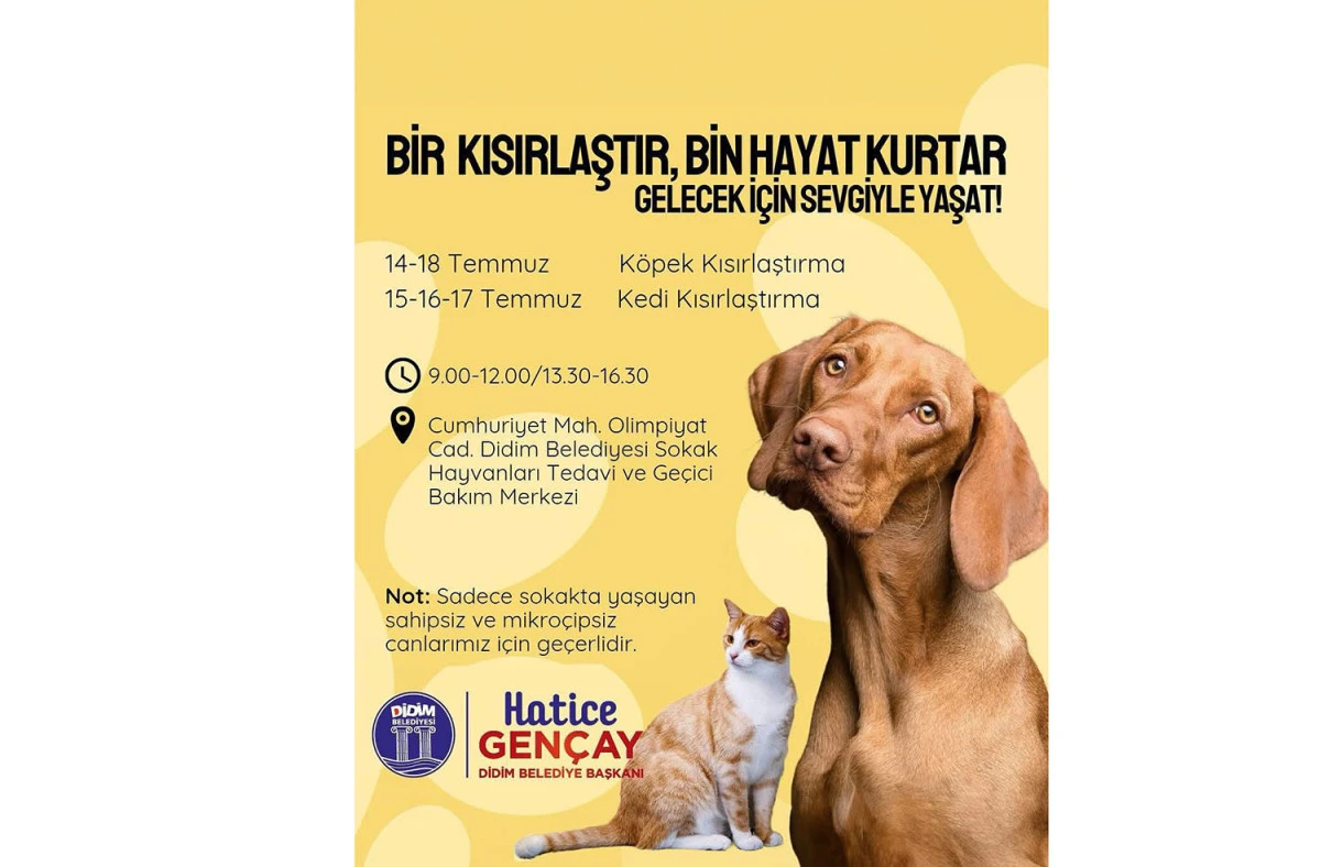 DİDİM BELEDİYESİ'NDEN SOKAK HAYVANLARINA ÜCRETSİZ KISIRLAŞTIRMA ETKİNLİĞİ