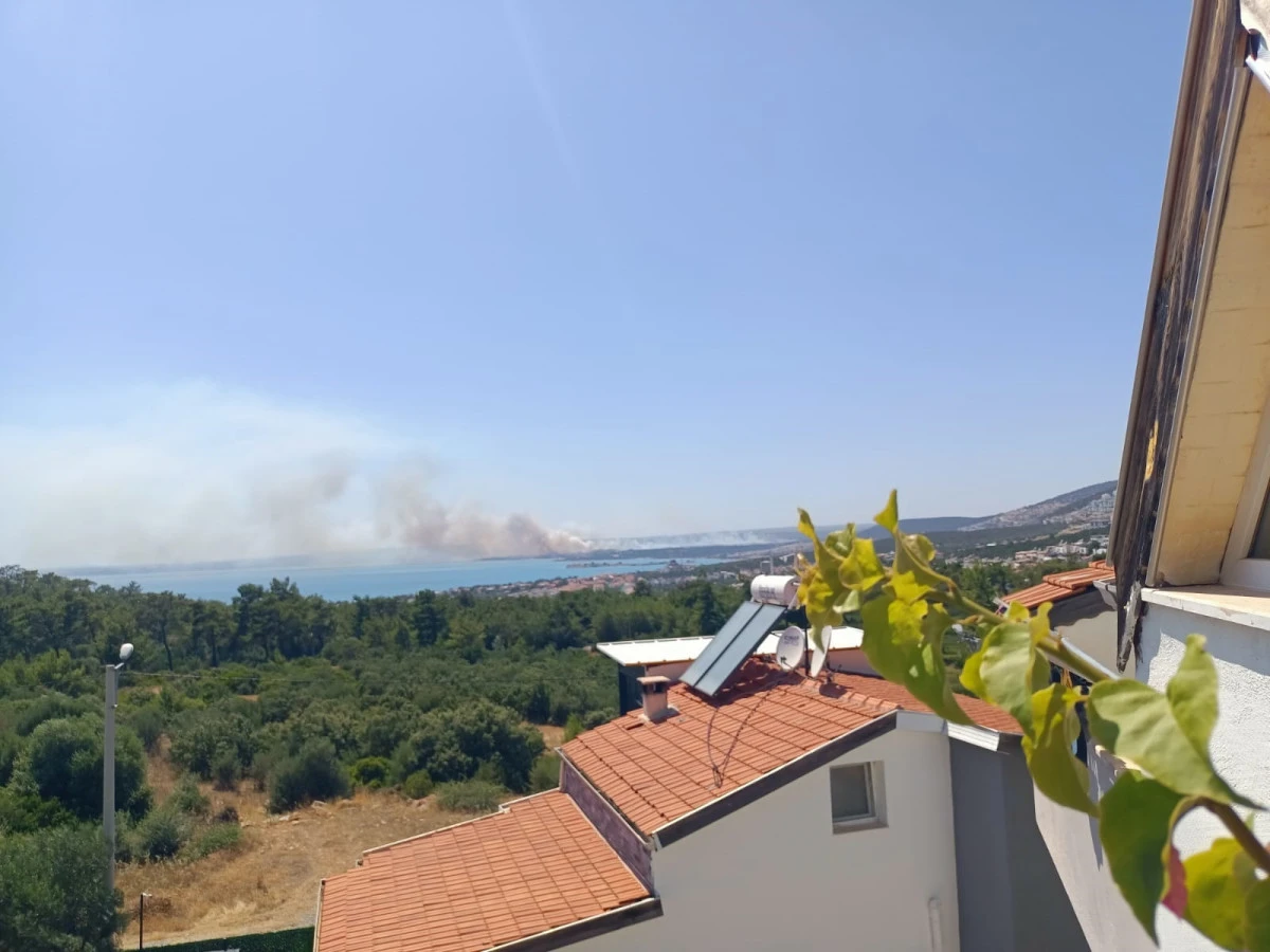 DİDİM FEVZİPAŞA MAHALESİNDE MAKİLİK YANGINI