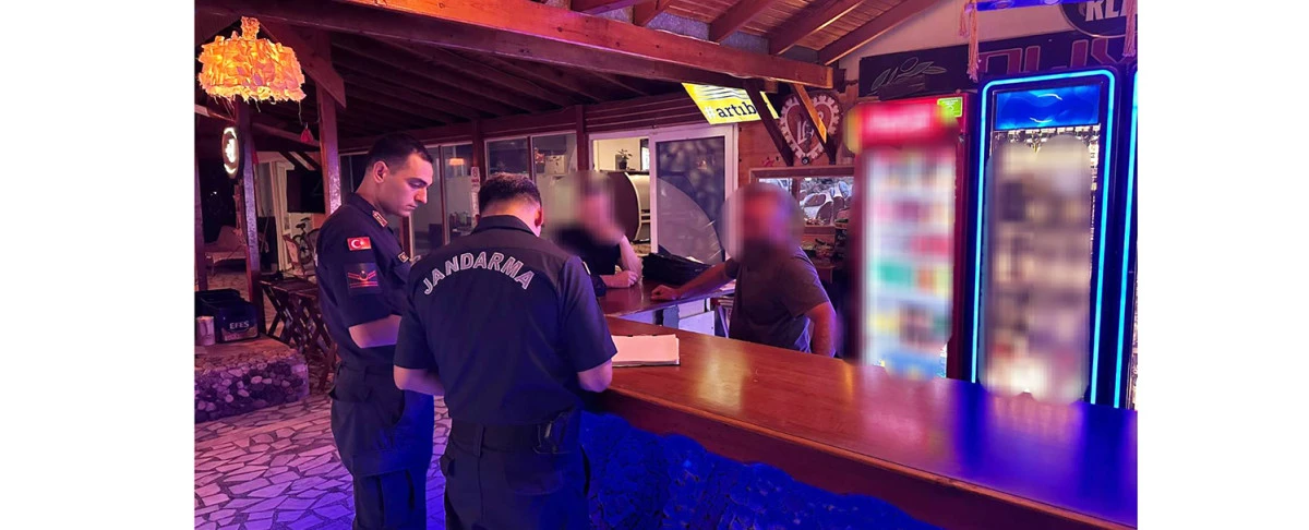 DİDİM JANDARMADAN SICAK NOKTA OPERASYONU