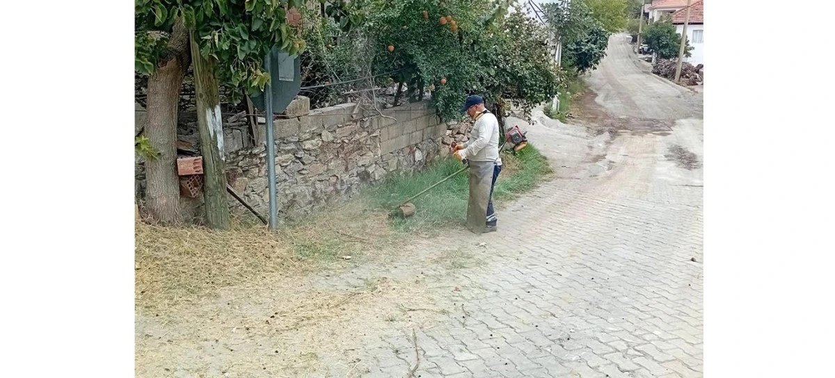 EFELER&rsquo;DE YEŞİL MESAİ: EĞRİKAVAK SOKAKLARINA BAKIM