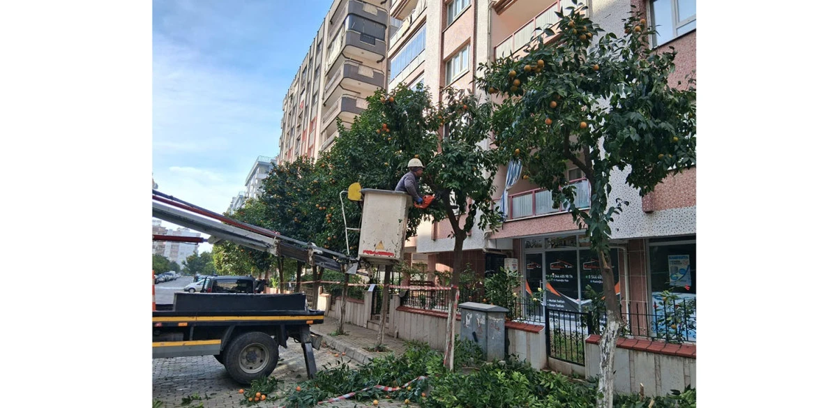 EFELER’İN EKİPLERİ DAHA YEŞİL BİR KENT İÇİN ÇALIŞIYOR