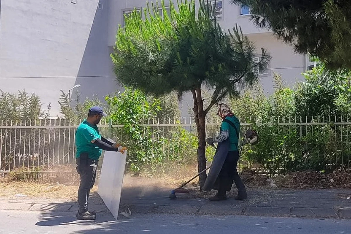 EFELER&rsquo;İN PARK VE YEŞİL ALANLARINDA HEM ESTETİK HEM G&Uuml;VENLİK ARTIYOR