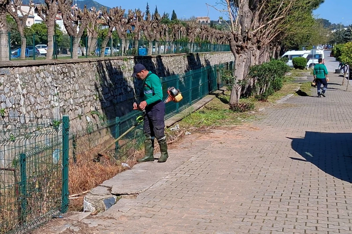 EFELER&rsquo;İN YEŞİL ALANLARINDA BAKIM &Ccedil;ALIŞMALARI DEVAM EDİYOR