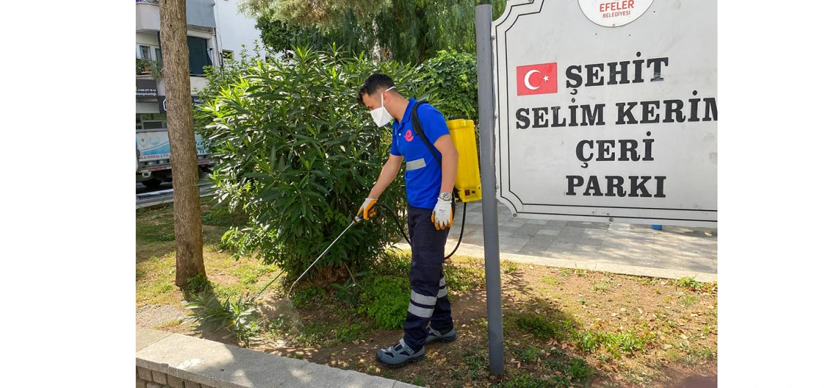 EFELER’İN YEŞİL ALANLARINDA KENELERE GEÇİT YOK