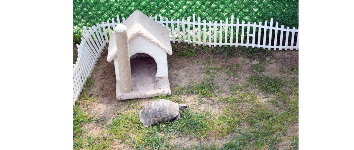 EVCİL HAYVAN BAKIM VE REHABİLASYON MERKEZİ&rsquo;NİN YENİ SAKİNLERİ İ&Ccedil;İN &Ouml;ZEL YAŞAM ALANI