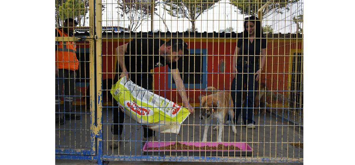 KUŞADASI&rsquo;NDA CAN DOSTLARINA DEV DESTEK: 3 TON MAMA BAĞIŞI