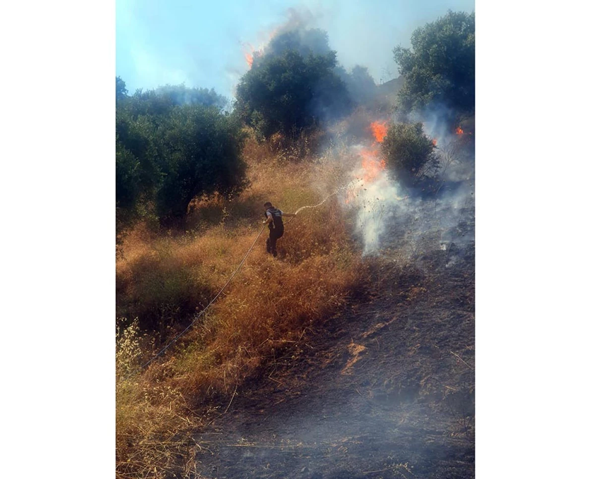 NAZİLLİ BELEDİYESİ EKİPLERİ BOZYURT'TAKİ YANGIN S&Ouml;ND&Uuml;RME &Ccedil;ALIŞMALARINA DESTEK VERDİ