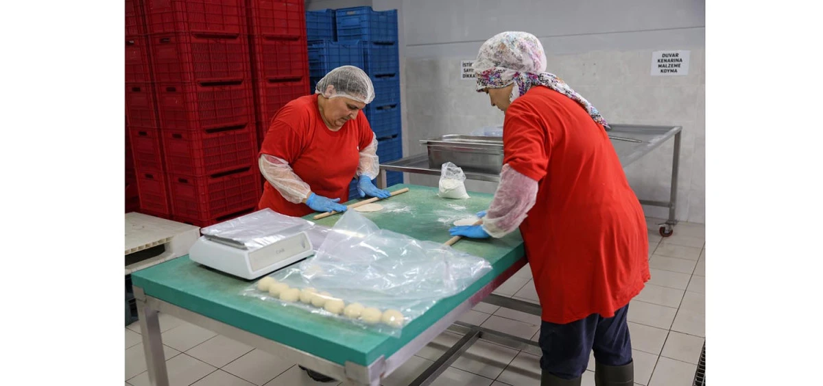 TARIMSAL &Uuml;R&Uuml;N FABRİKASI İLE KADINLARLAR &Uuml;RETİYOR EFELER KAZANIYOR